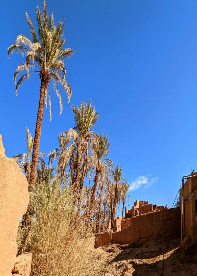 Riad Tagmadarte Ferme d'Hôte Zagora Bagian luar foto