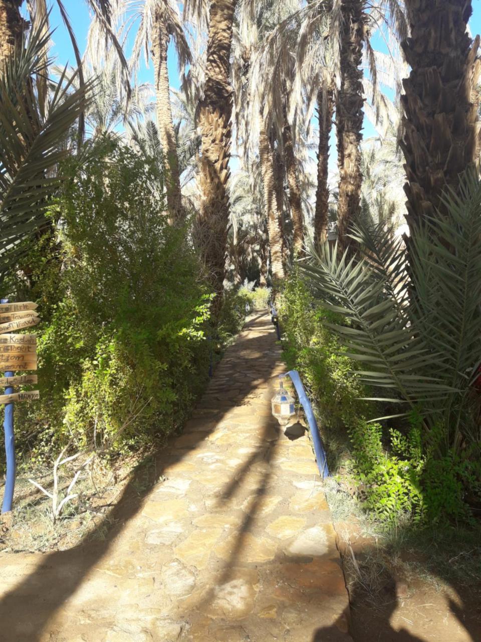 Riad Tagmadarte Ferme d'Hôte Zagora Bagian luar foto