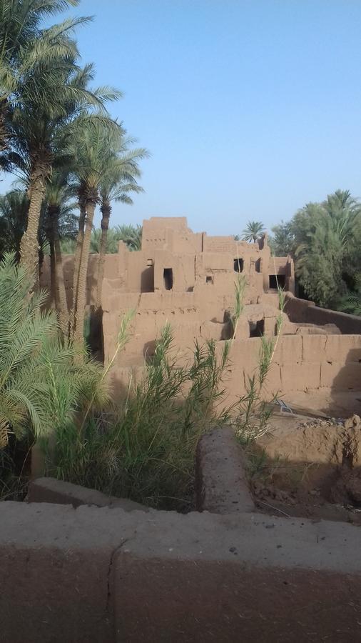 Riad Tagmadarte Ferme d'Hôte Zagora Bagian luar foto