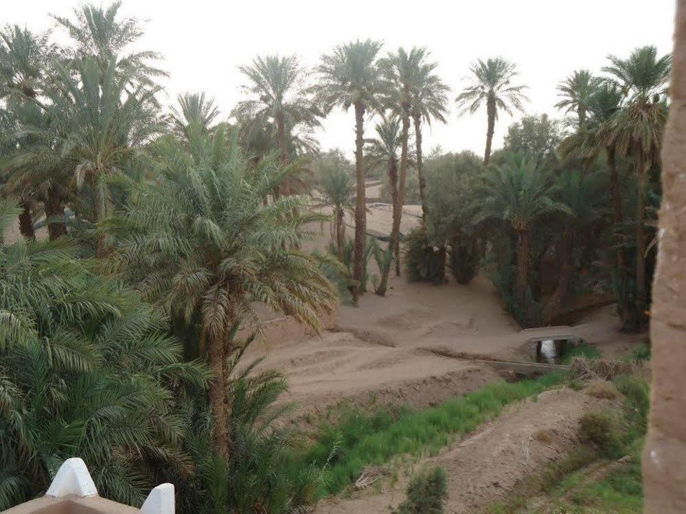 Riad Tagmadarte Ferme d'Hôte Zagora Bagian luar foto