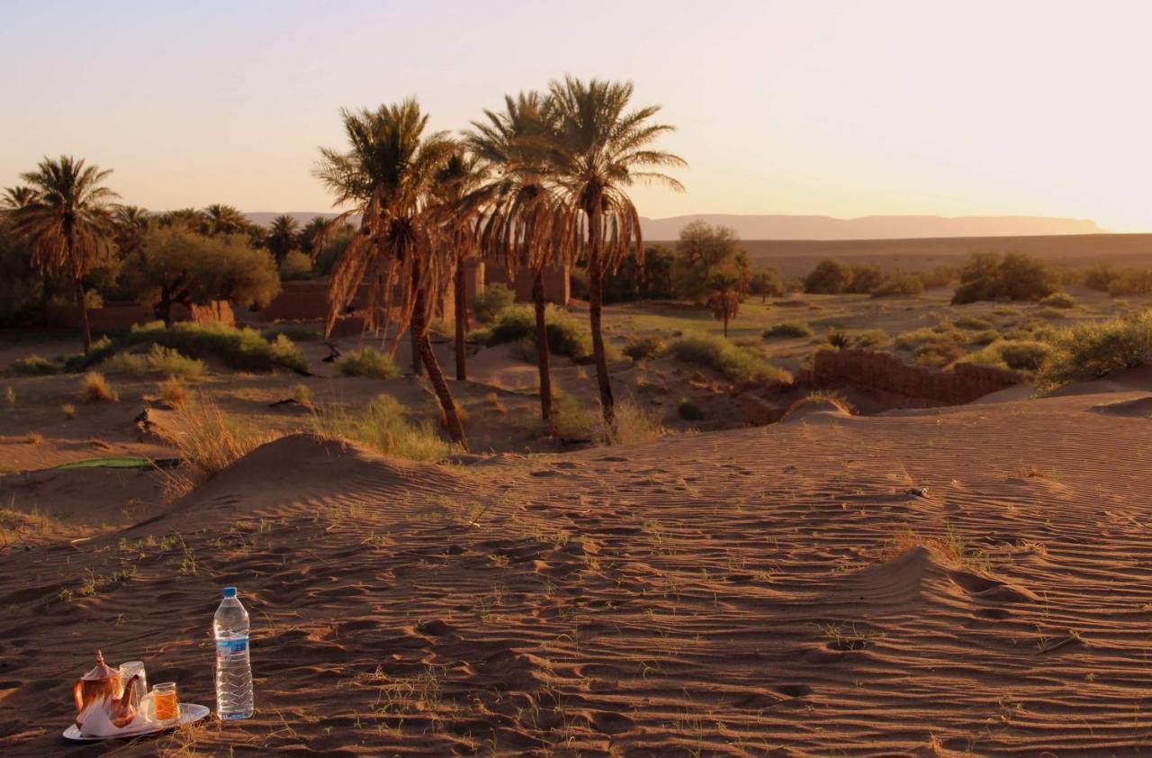 Riad Tagmadarte Ferme d'Hôte Zagora Bagian luar foto