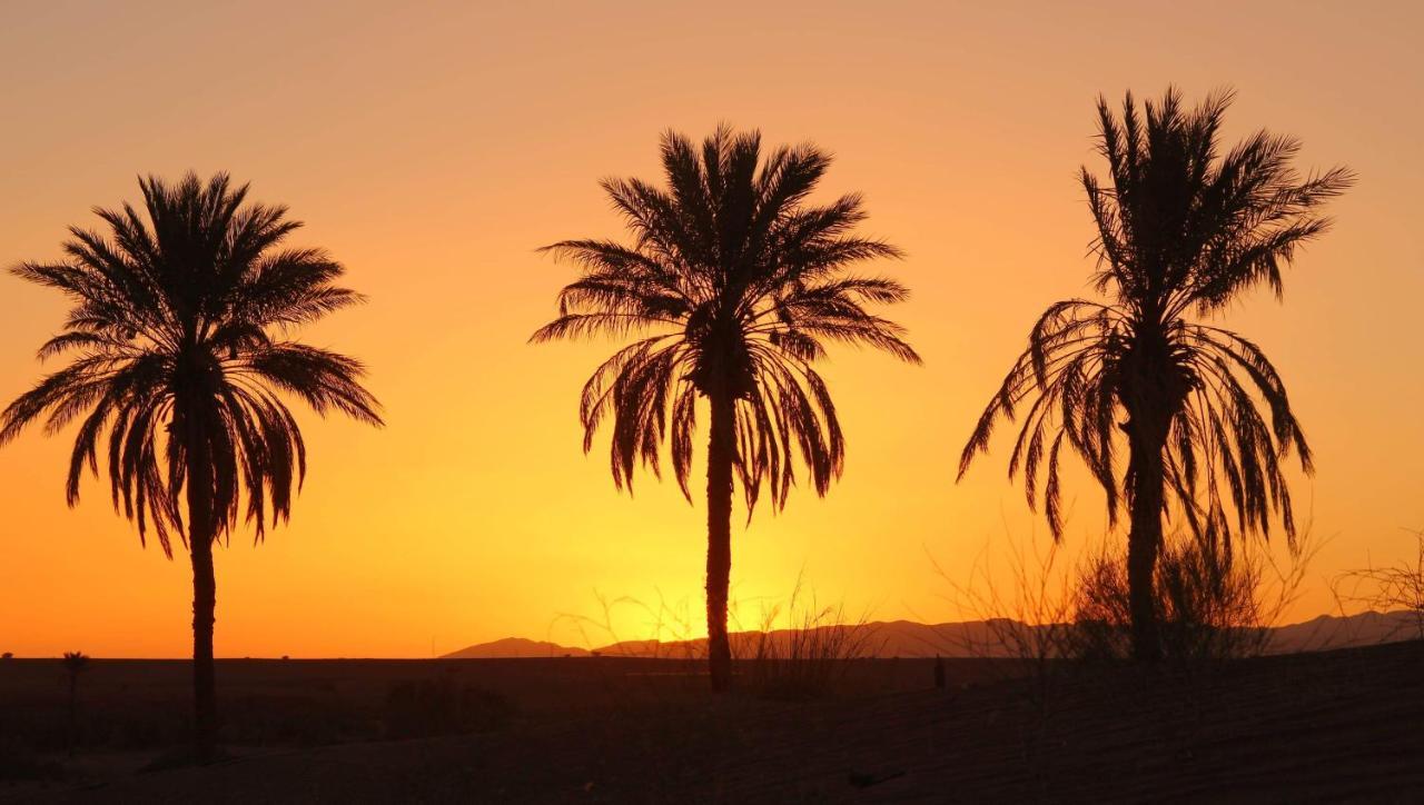 Riad Tagmadarte Ferme d'Hôte Zagora Bagian luar foto