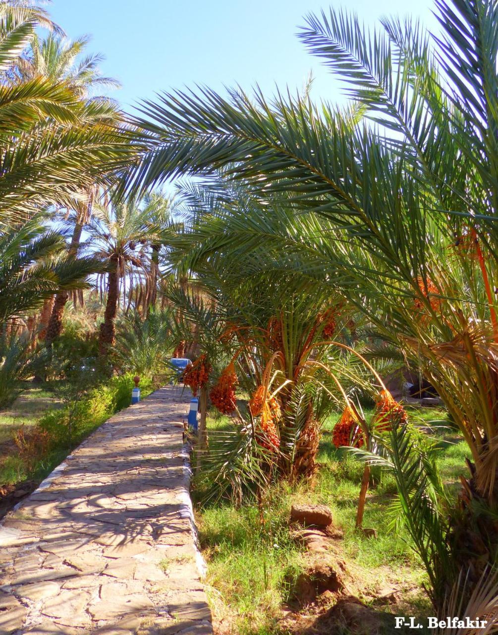 Riad Tagmadarte Ferme d'Hôte Zagora Bagian luar foto