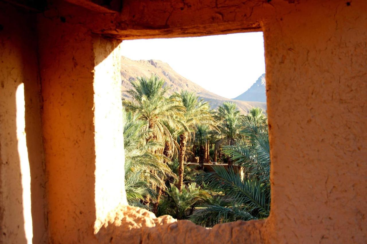 Riad Tagmadarte Ferme d'Hôte Zagora Bagian luar foto