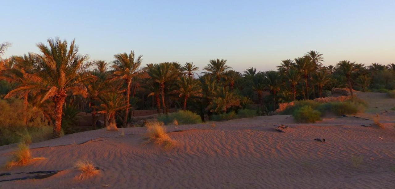 Riad Tagmadarte Ferme d'Hôte Zagora Bagian luar foto