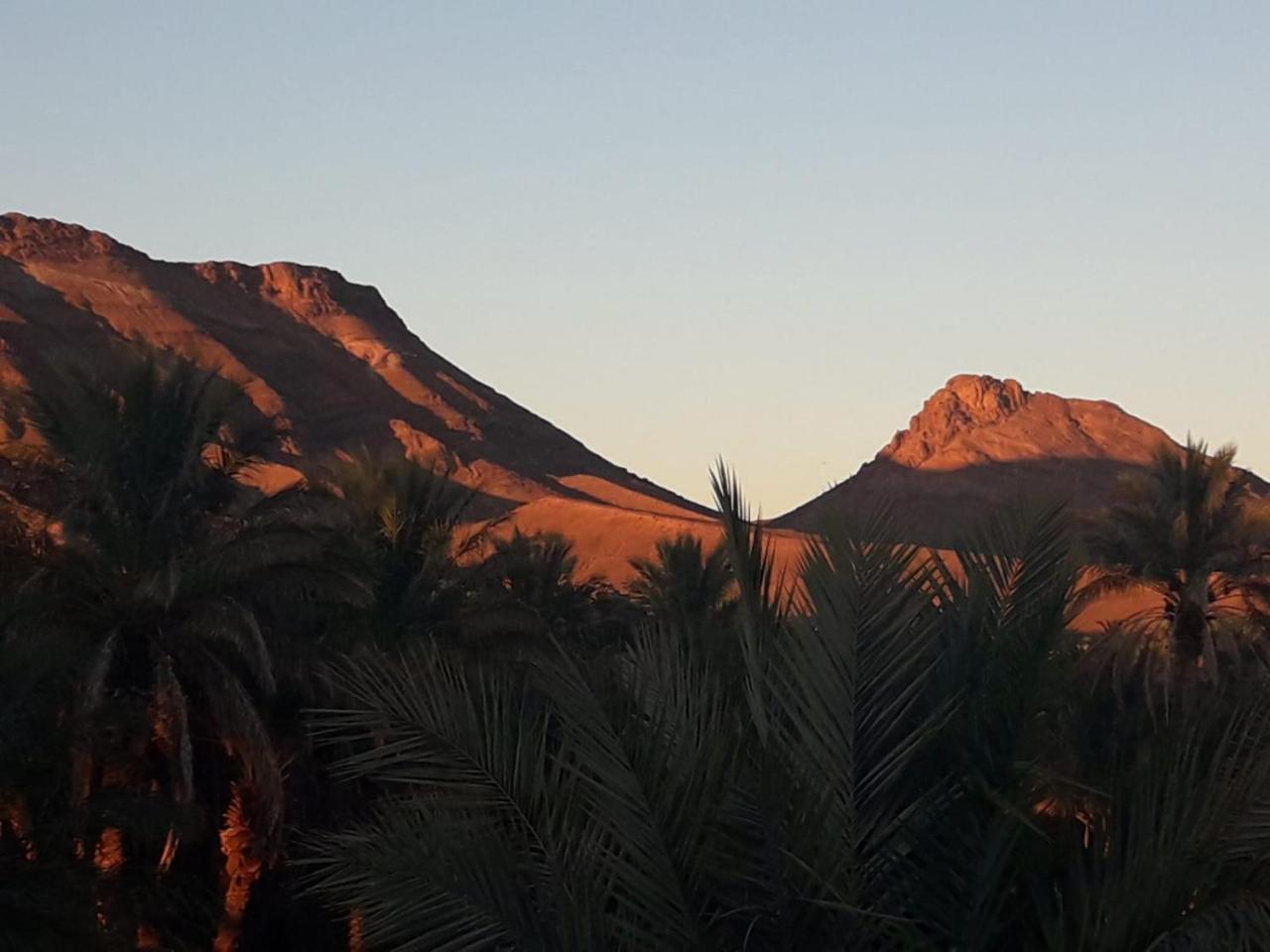 Riad Tagmadarte Ferme d'Hôte Zagora Bagian luar foto